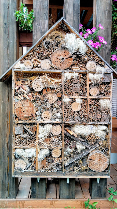 Naučné středisko ekologické výchovy Kladno - Čabárna, o.p.s.